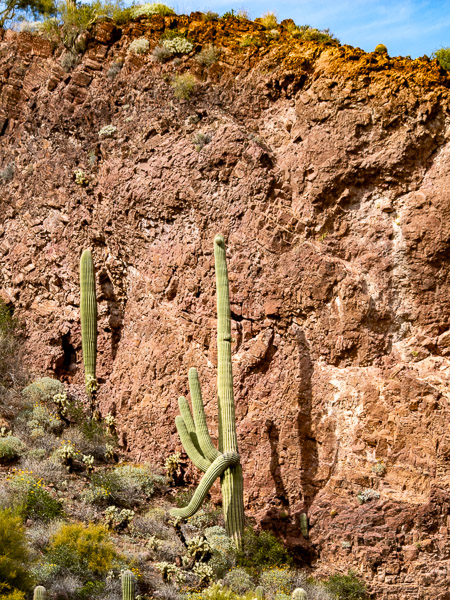 Tonto National Monument, Arizona