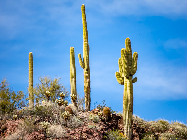 Tonto National Monument, Arizona