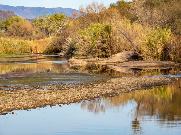 Salt River Recreation Area, Arizona