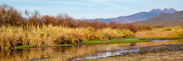 Salt River Recreation Area, Arizona