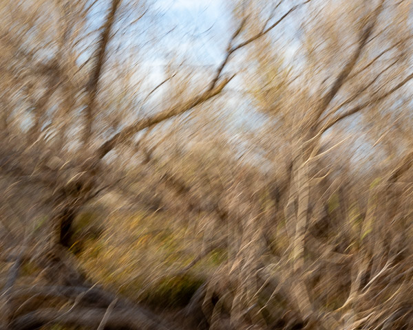 Salt River Recreation Area, Arizona