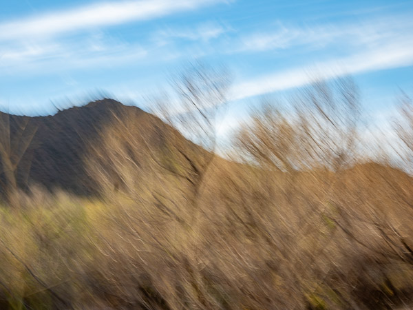 Salt River Recreation Area, Arizona