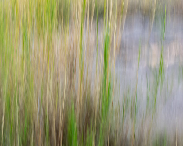 Salt River Recreation Area, Arizona
