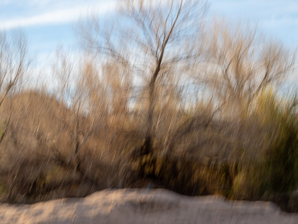 Salt River Recreation Area, Arizona