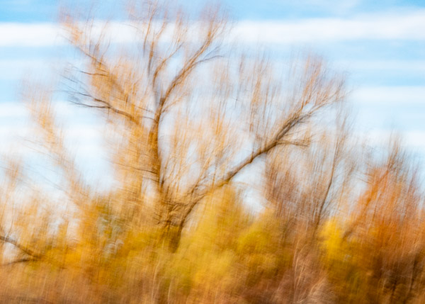 Salt River Recreation Area, Arizona