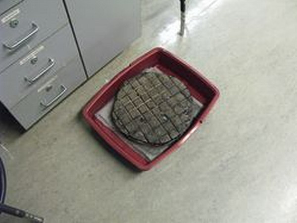 The tool and pitch are placed in a tray and then warm water is poured over it to soften the ptich.