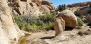 Joshua Tree National Park