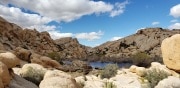 Joshua Tree National Park Baker dam area