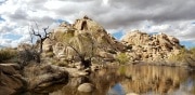 Joshua Tree National Park