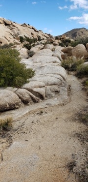 Joshua Tree National Park