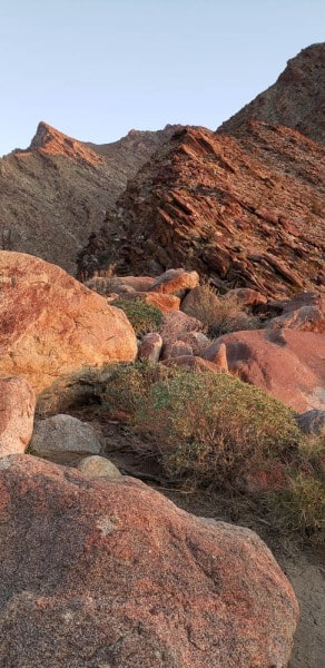 Anza Borrego State Park, Palm Canyon, California