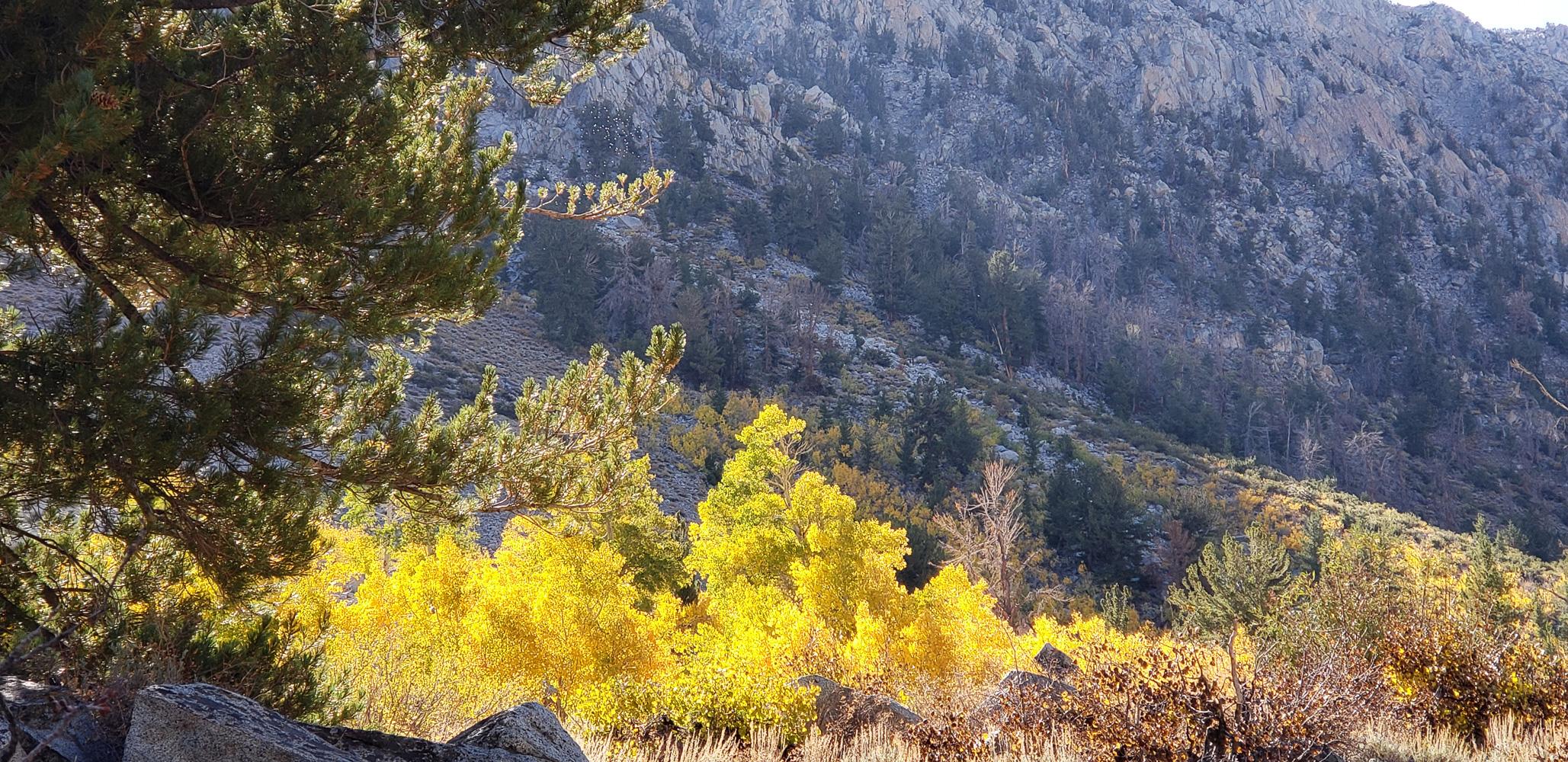 Eastern Sierra – Oct 2019 – CA