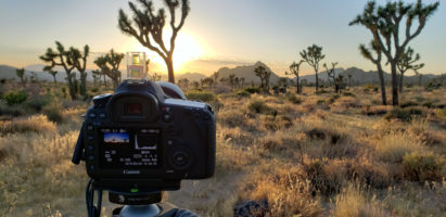 Joshua Tree National Park – June 2019