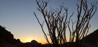 Anza Borrego State Park, California – Feb 28, 2022